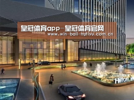 案例展示二