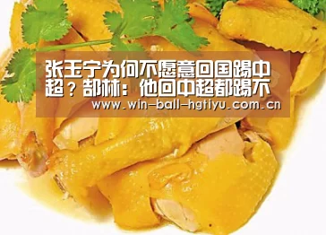 张玉宁为何不愿意回国踢中超?郜林:他回中超都踢不上主力!:皇冠体育(图3) 皇冠体育